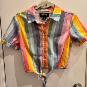 Collectif Multicolor Striped Crop Shirt